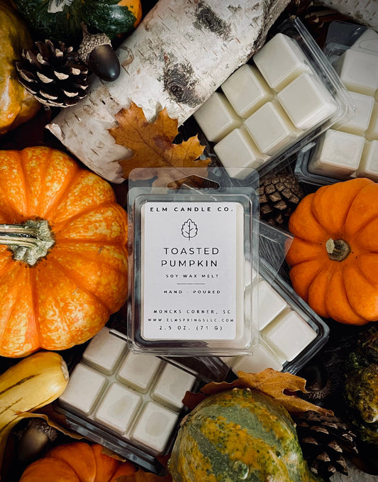 Toasted Pumpkin Soy Wax Melt